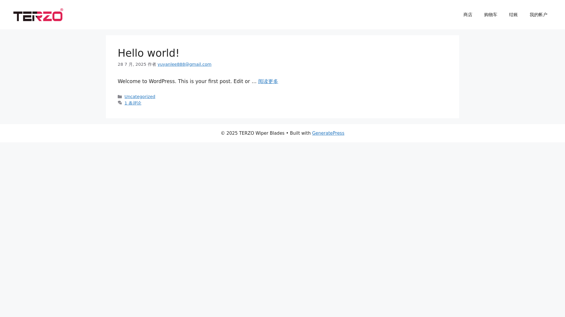 website screenshot of https://terzowiper.com/