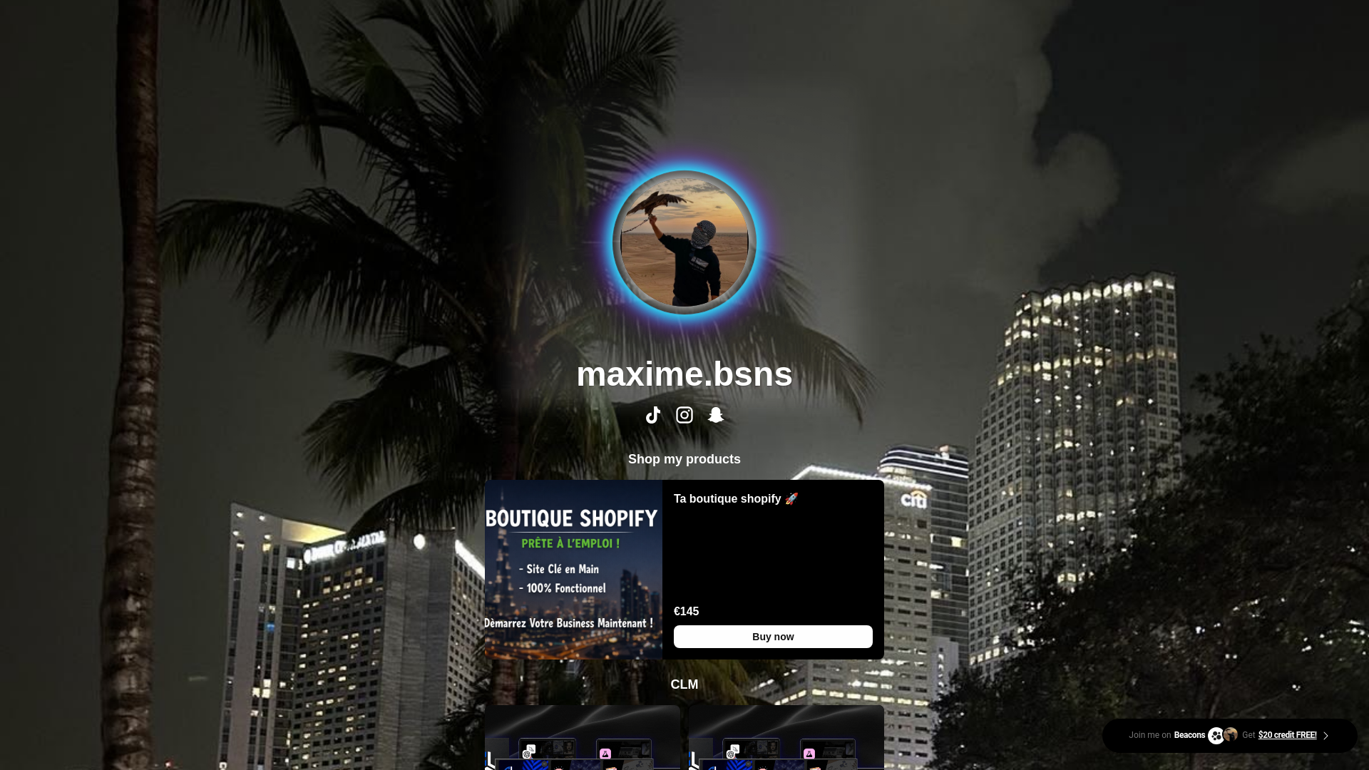 website screenshot of https://maximebsns.com/