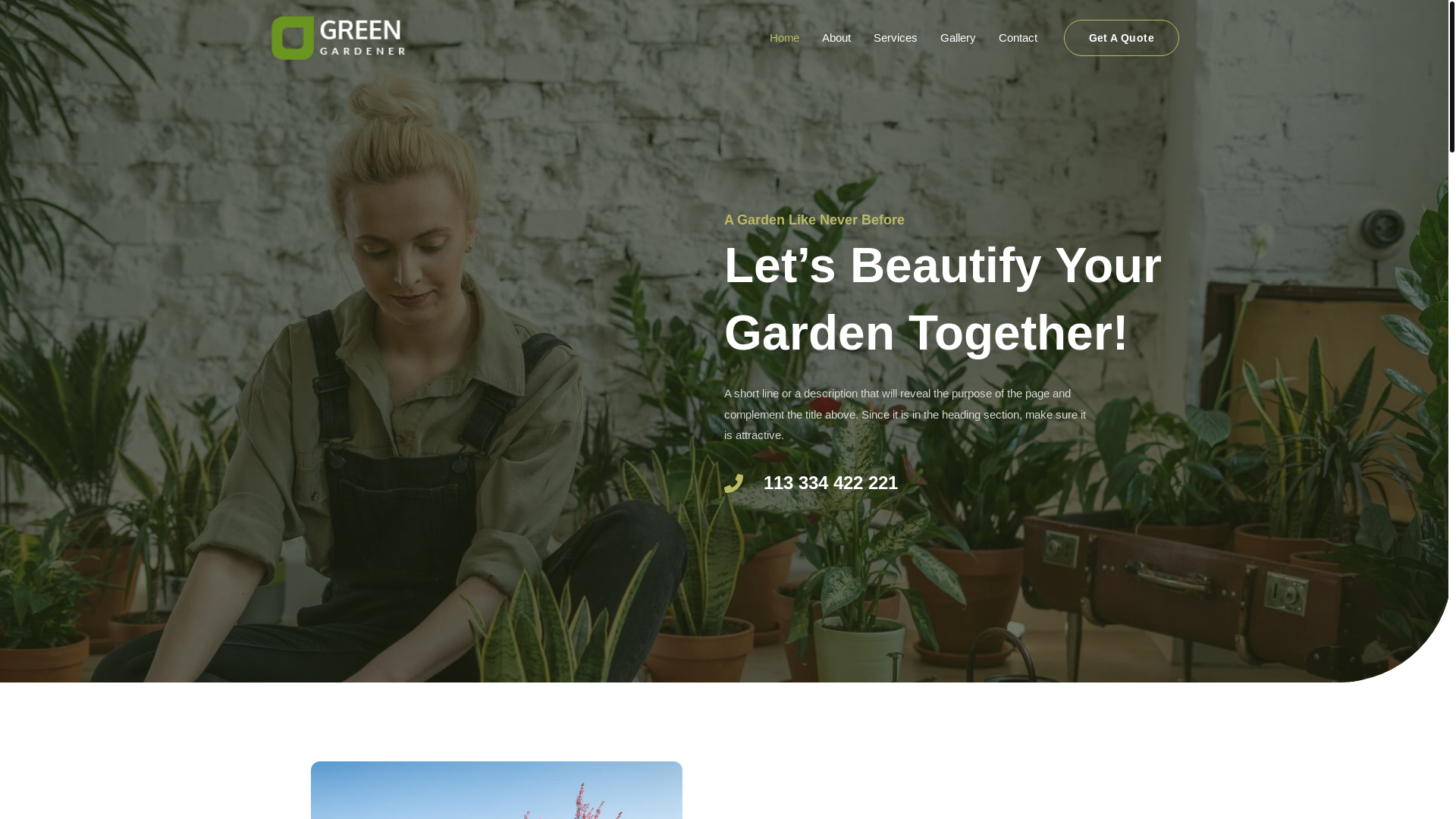 website screenshot of https://alvorasan.com/