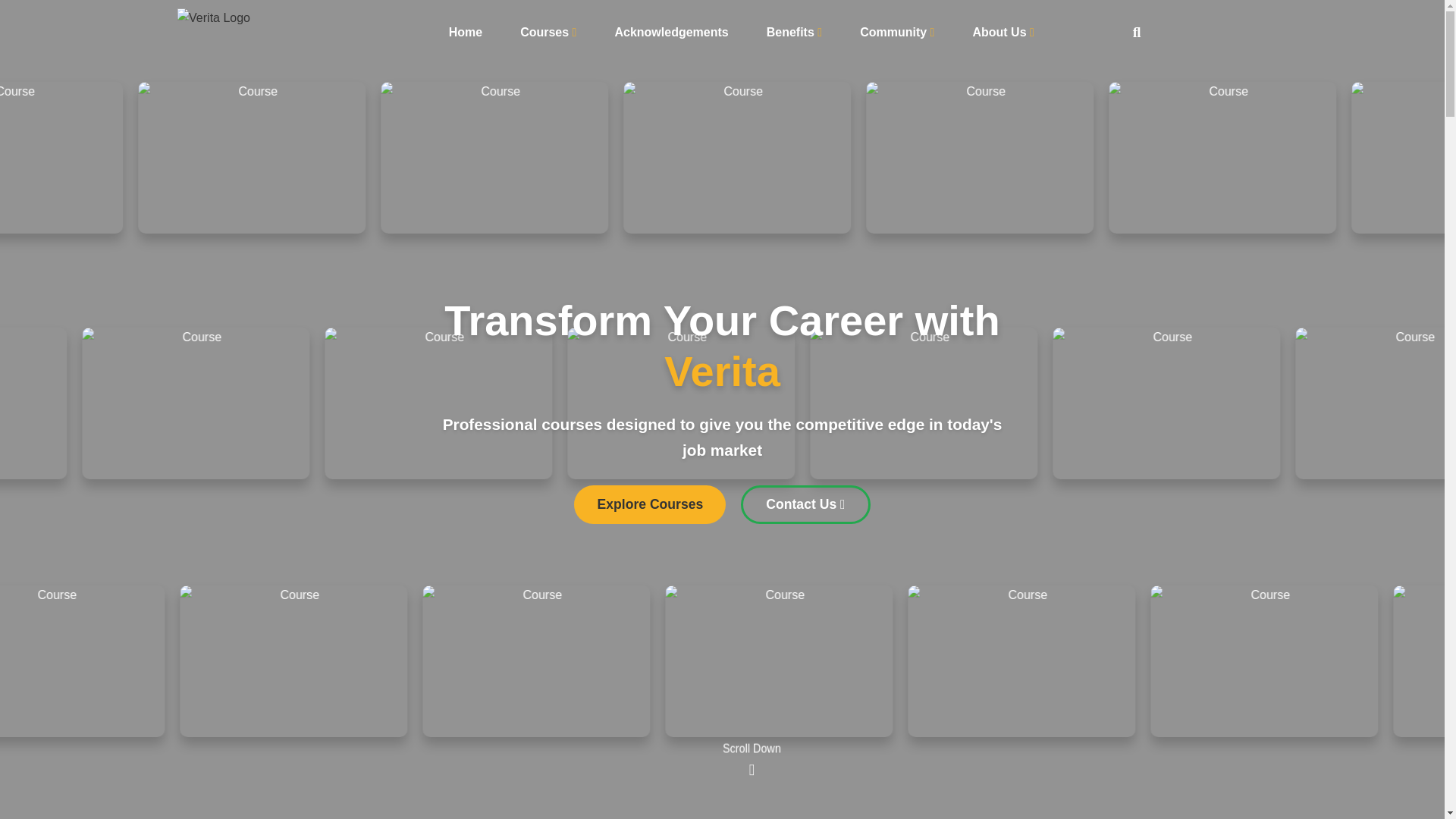 website screenshot of https://veritacampus.com/