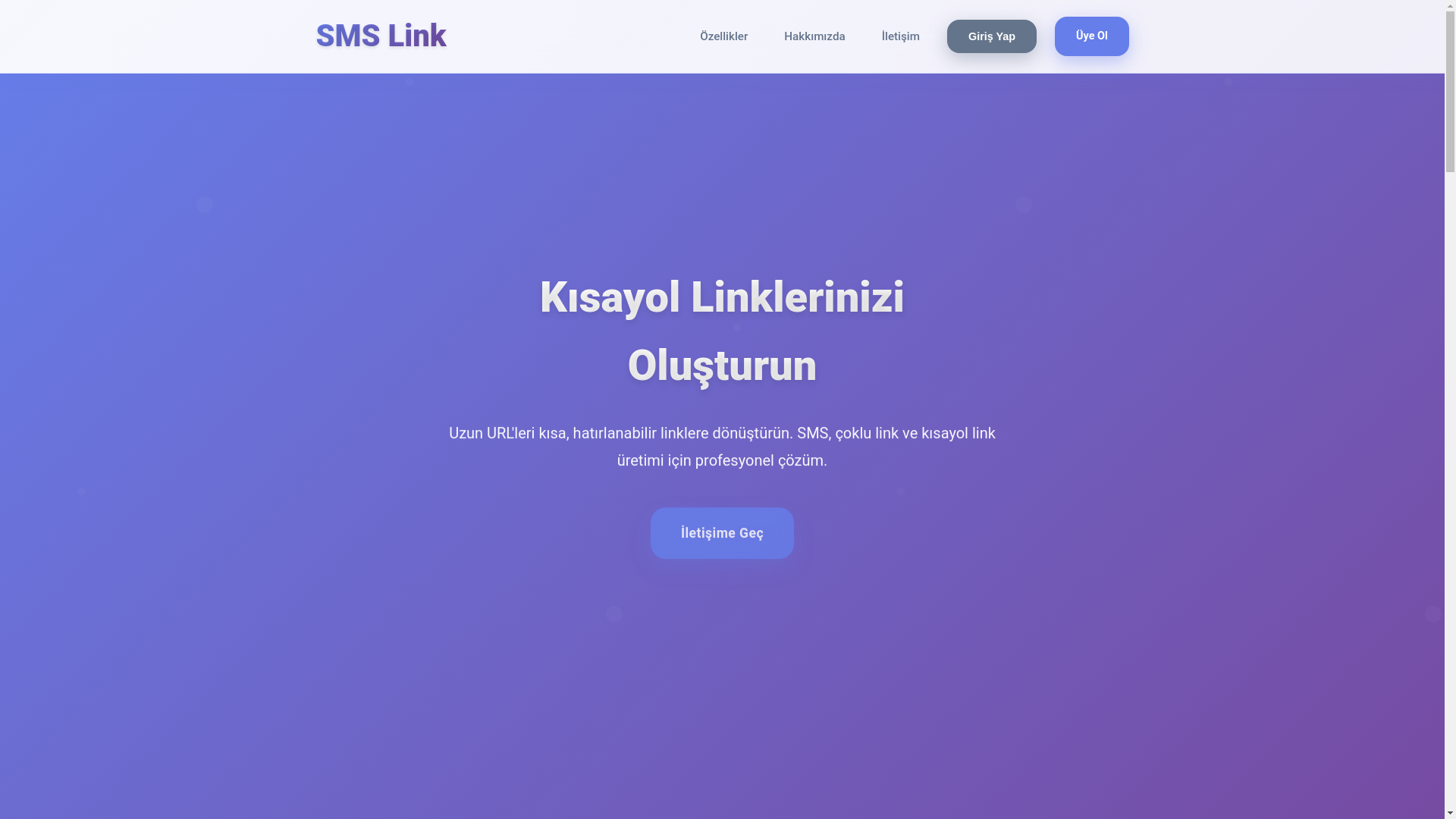 website screenshot of https://test-sms-link.com.tr/
