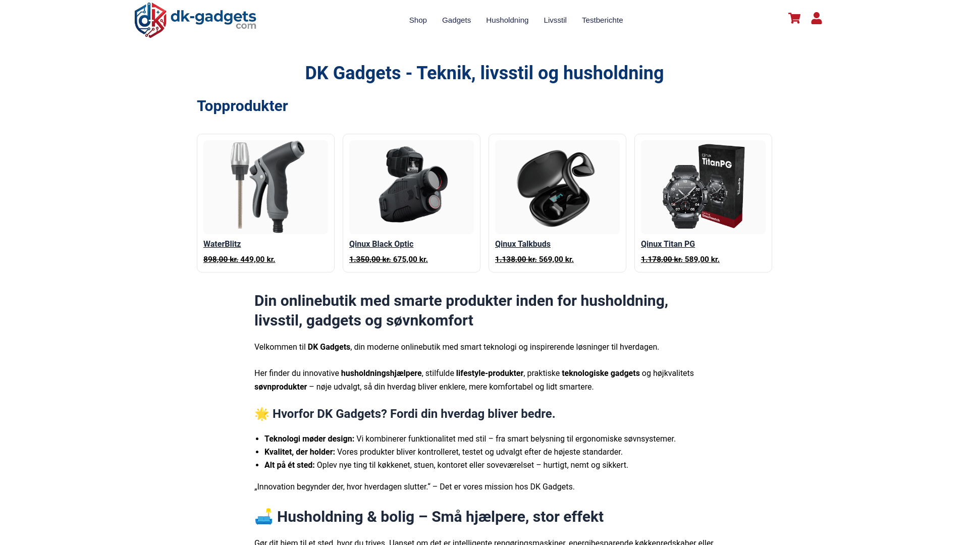 website screenshot of https://dk-gadgets.com