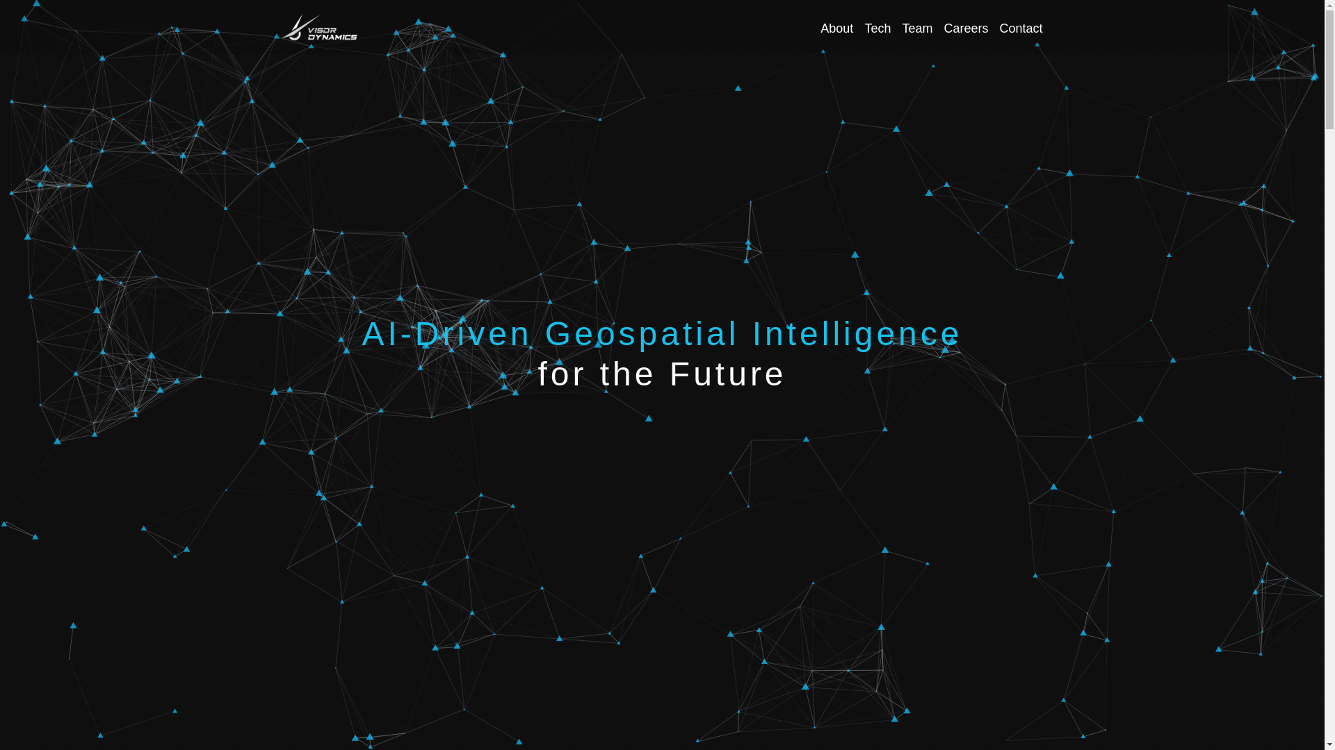 website screenshot of https://visordynamics.pages.dev/
