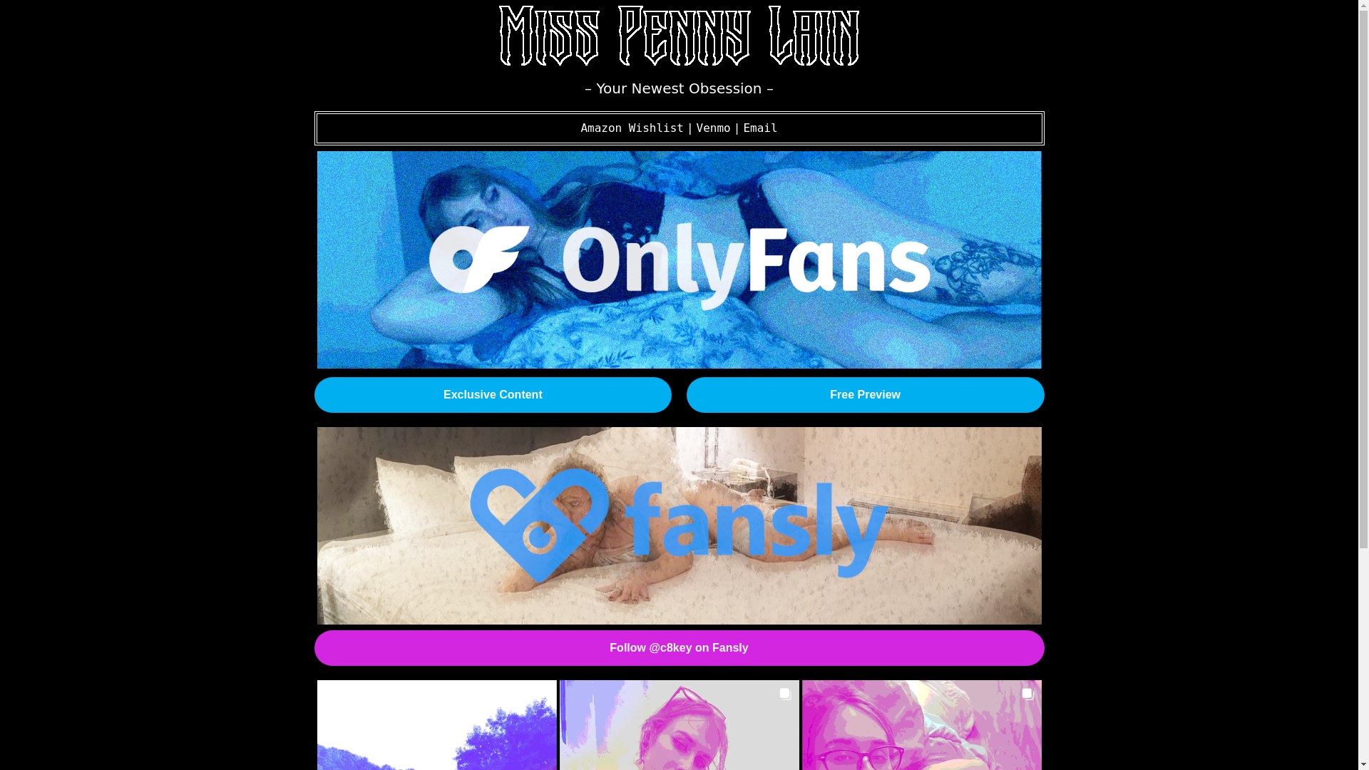 website screenshot of https://pennylain.vip/