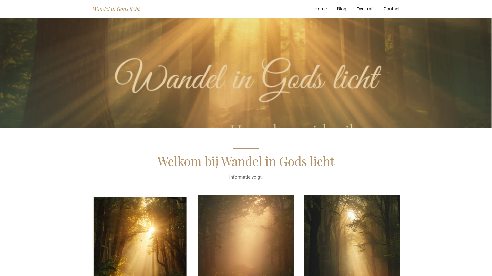 website screenshot of https://wandelingodslicht.nl/
