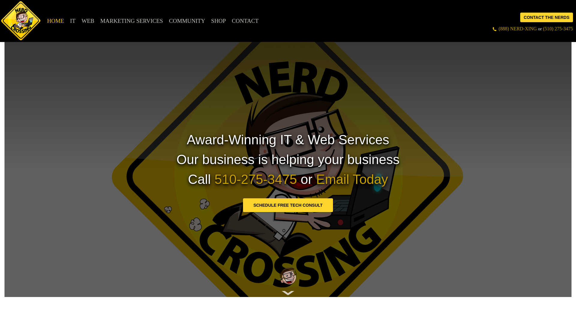 website screenshot of https://nerdcrossing.com/