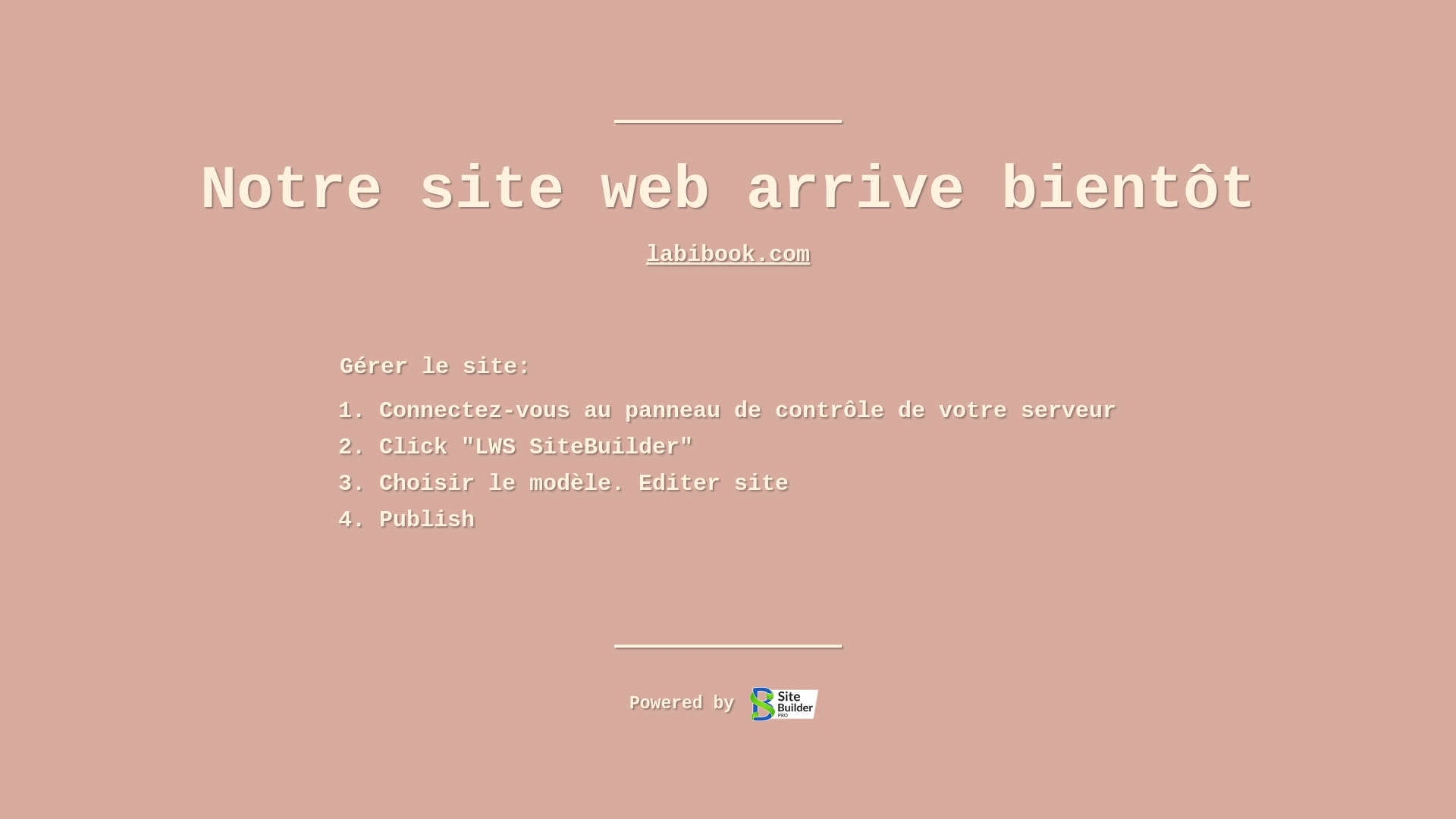 website screenshot of https://labibook.com/