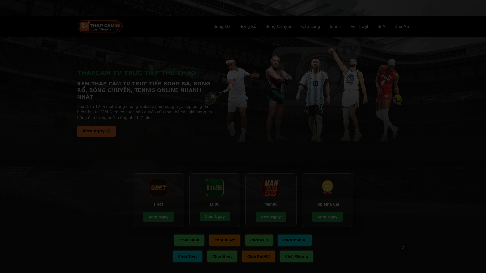 website screenshot of https://thapcamtvz.org