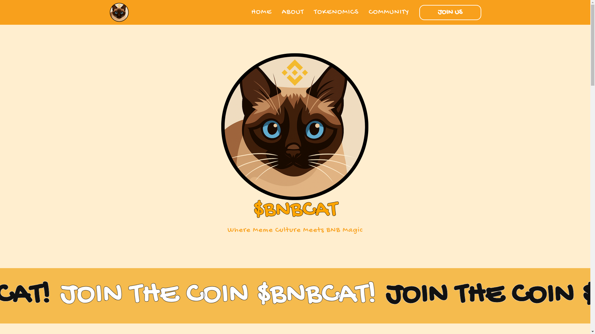 website screenshot of https://thebnbcat.xyz/