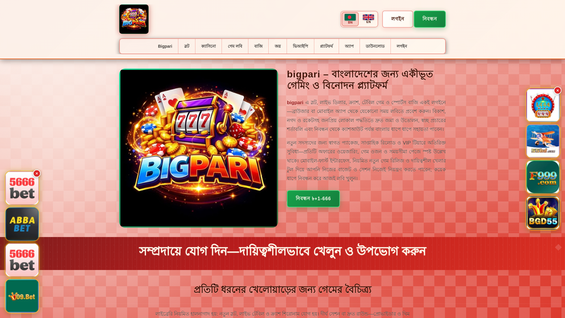 website screenshot of https://bigparitin.com/