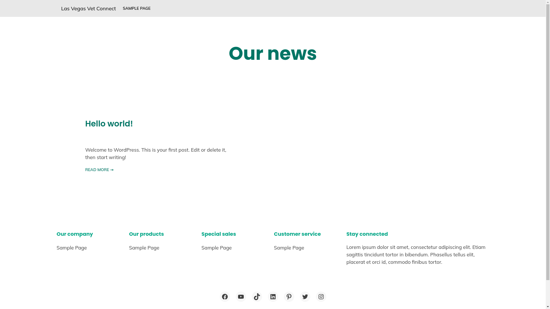 website screenshot of https://lasvegasvetconnect.com/