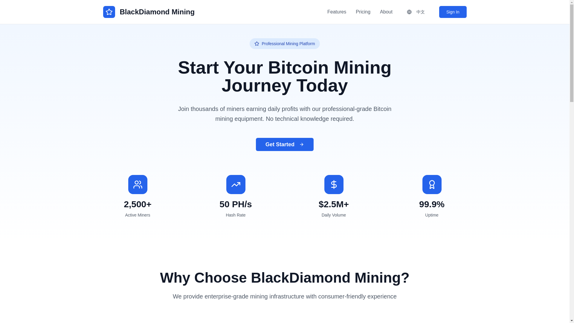 website screenshot of https://blackdiamond-b4h.pages.dev/