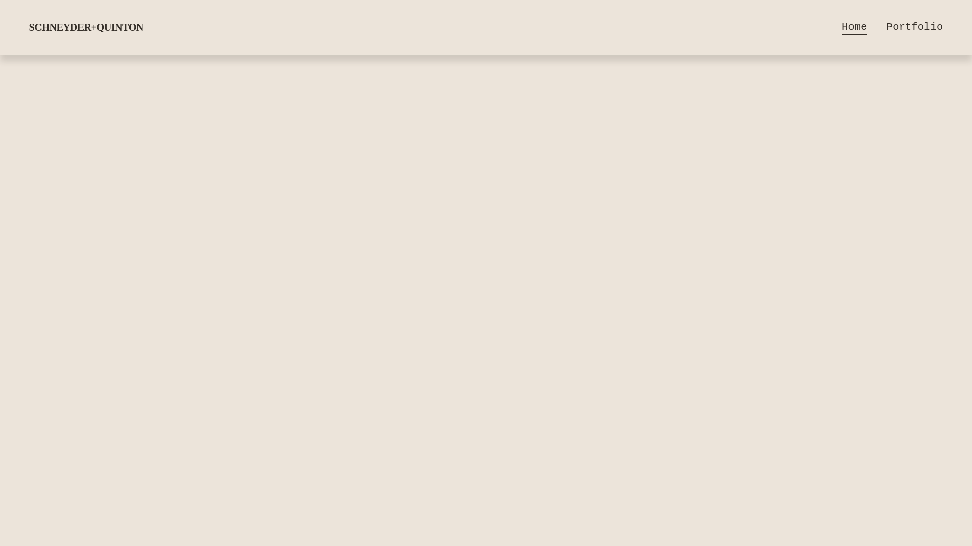 website screenshot of https://schneyderquinton.com/