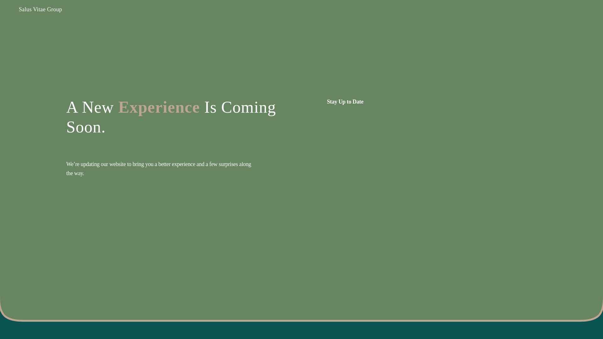 website screenshot of https://www.salusvitaegroup.com/