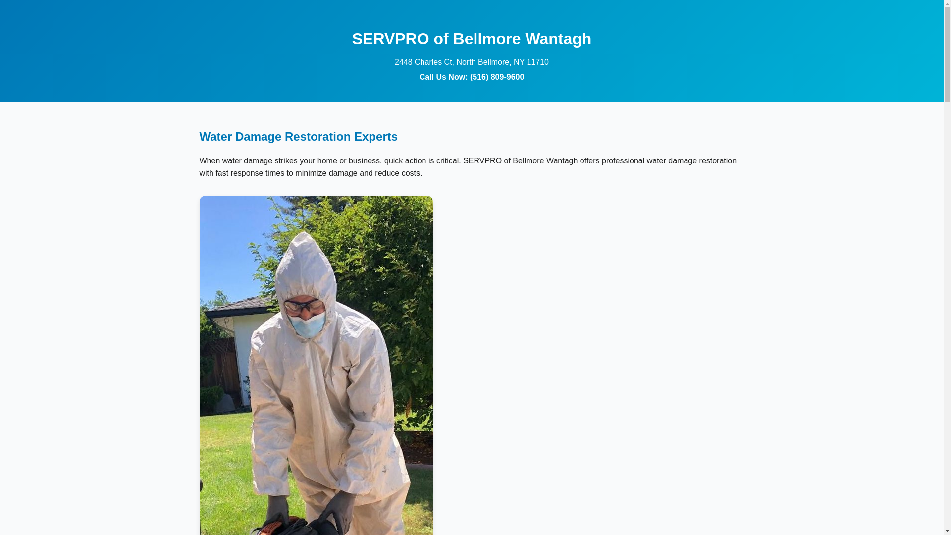 website screenshot of https://servproofbellmorewantagh.xyz/