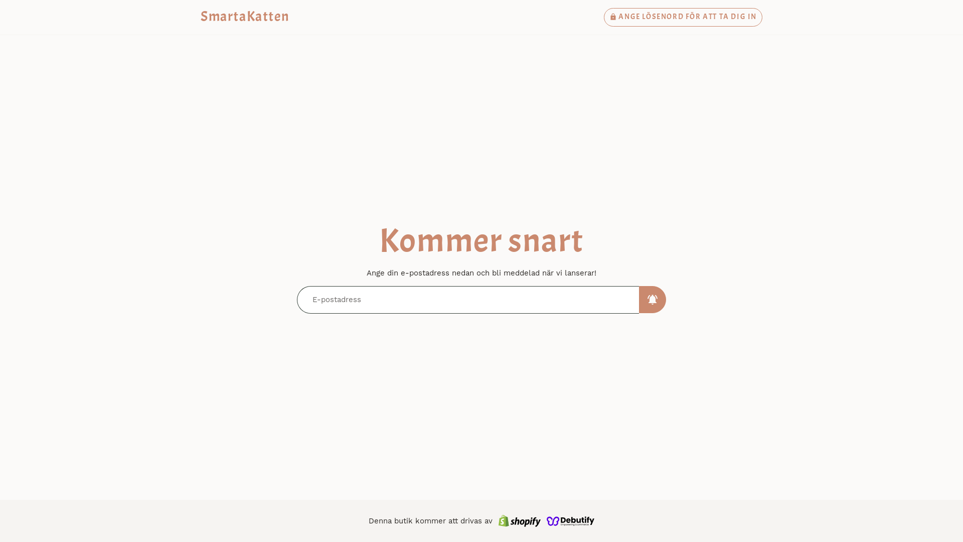 website screenshot of https://ragdollbutiken.se/