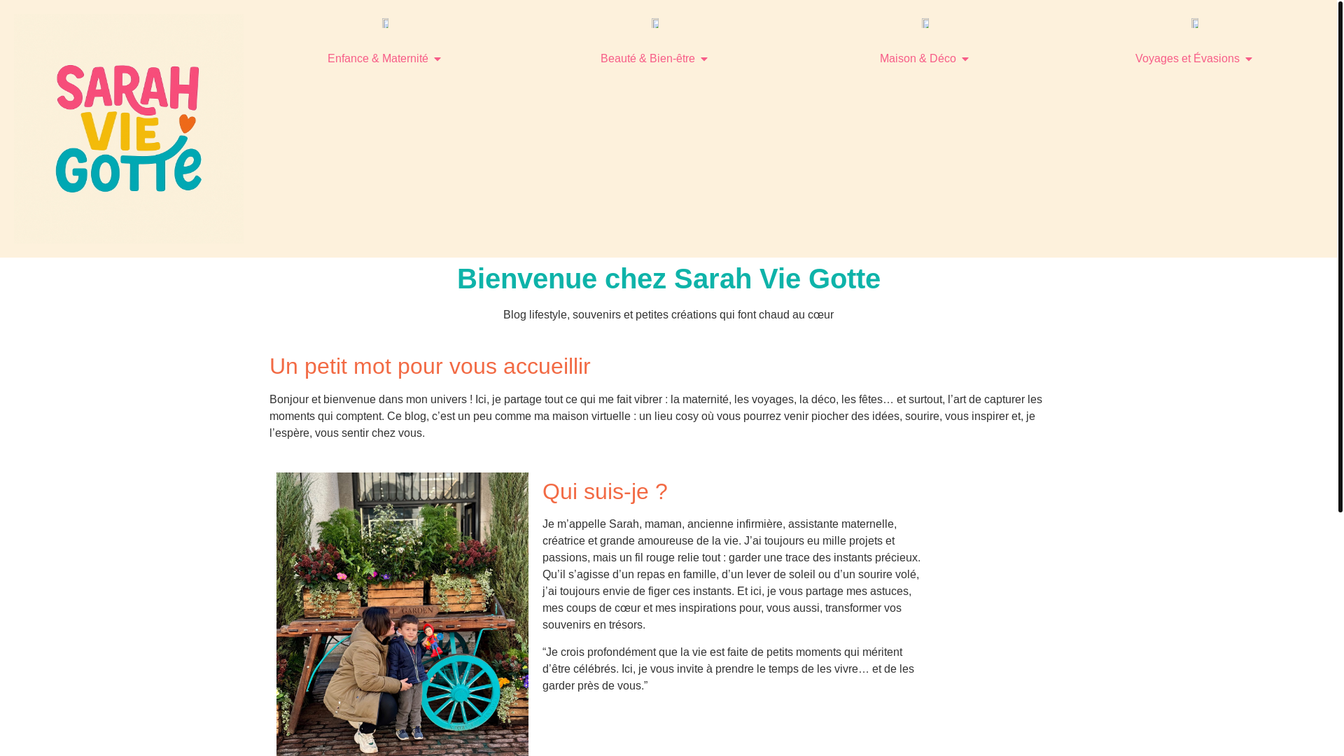 website screenshot of https://sarahviegotte.com/