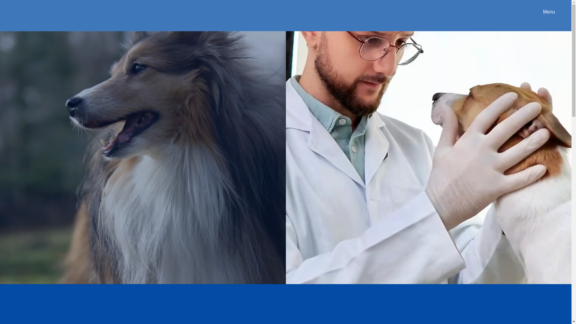 website screenshot of https://veterinariaoncologia.com/