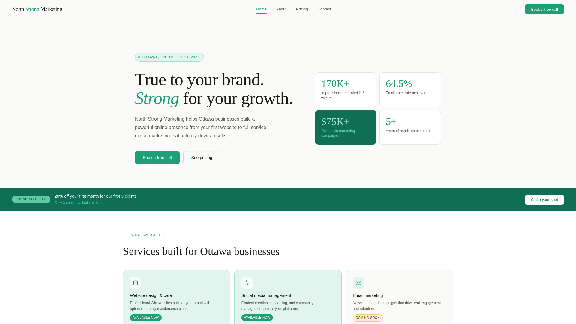 website screenshot of https://northstrongmarketing.com