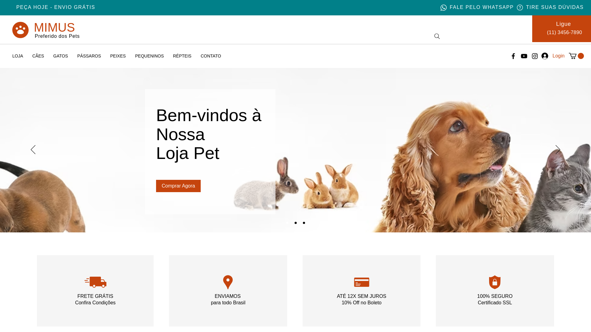 website screenshot of https://lojapetflix.com/