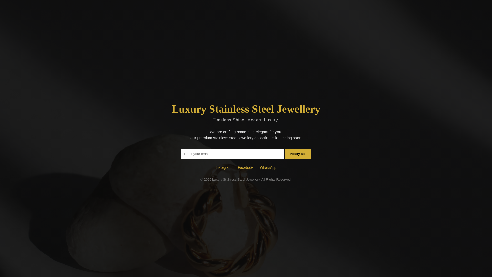 website screenshot of https://luxurystainlesssteeljewellery.com