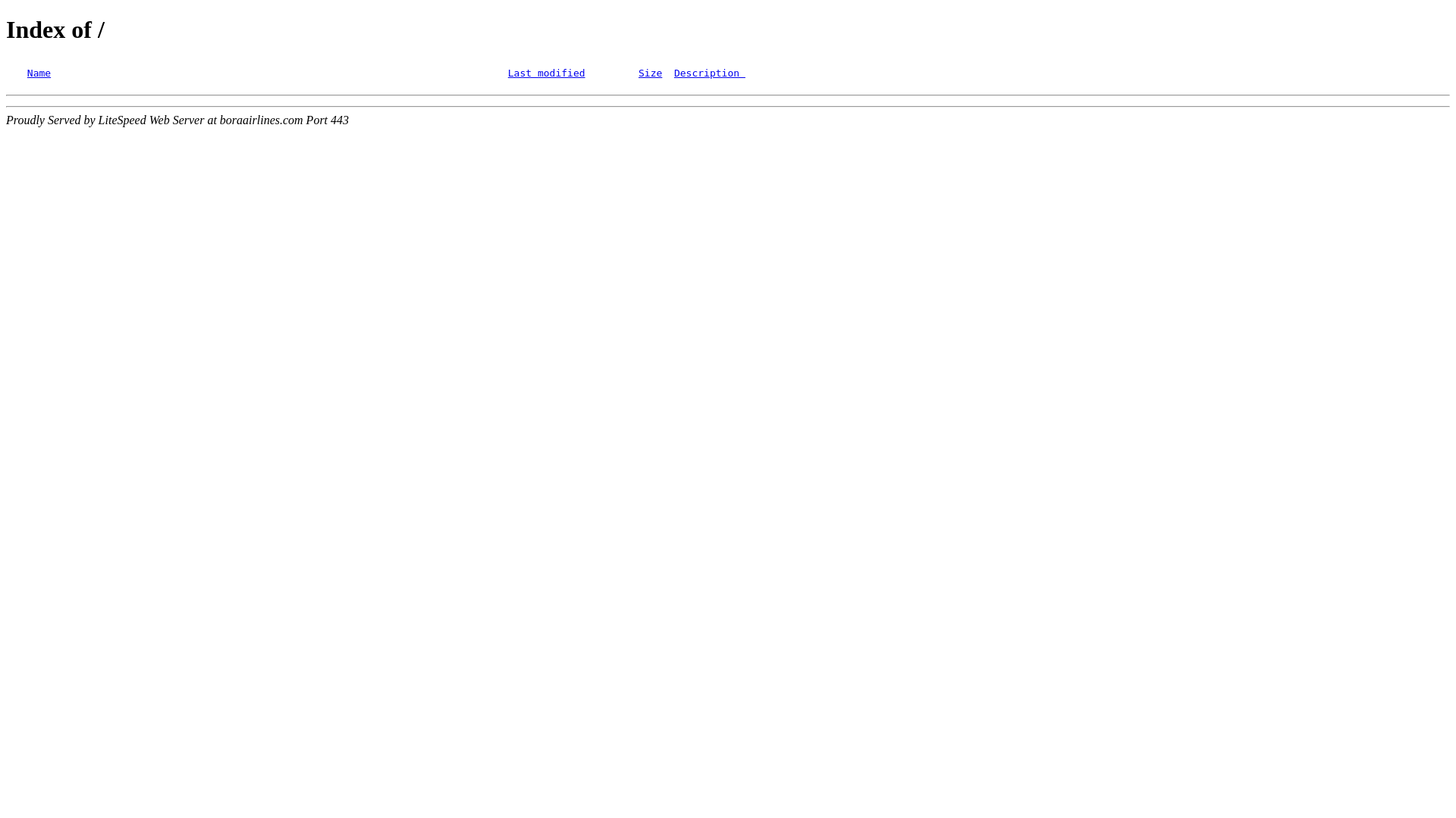 website screenshot of https://boraairlines.com