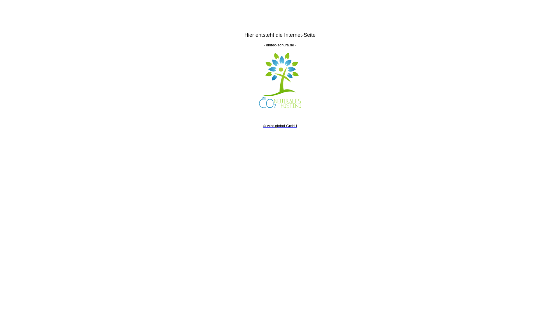 website screenshot of https://dintec-schura.de/