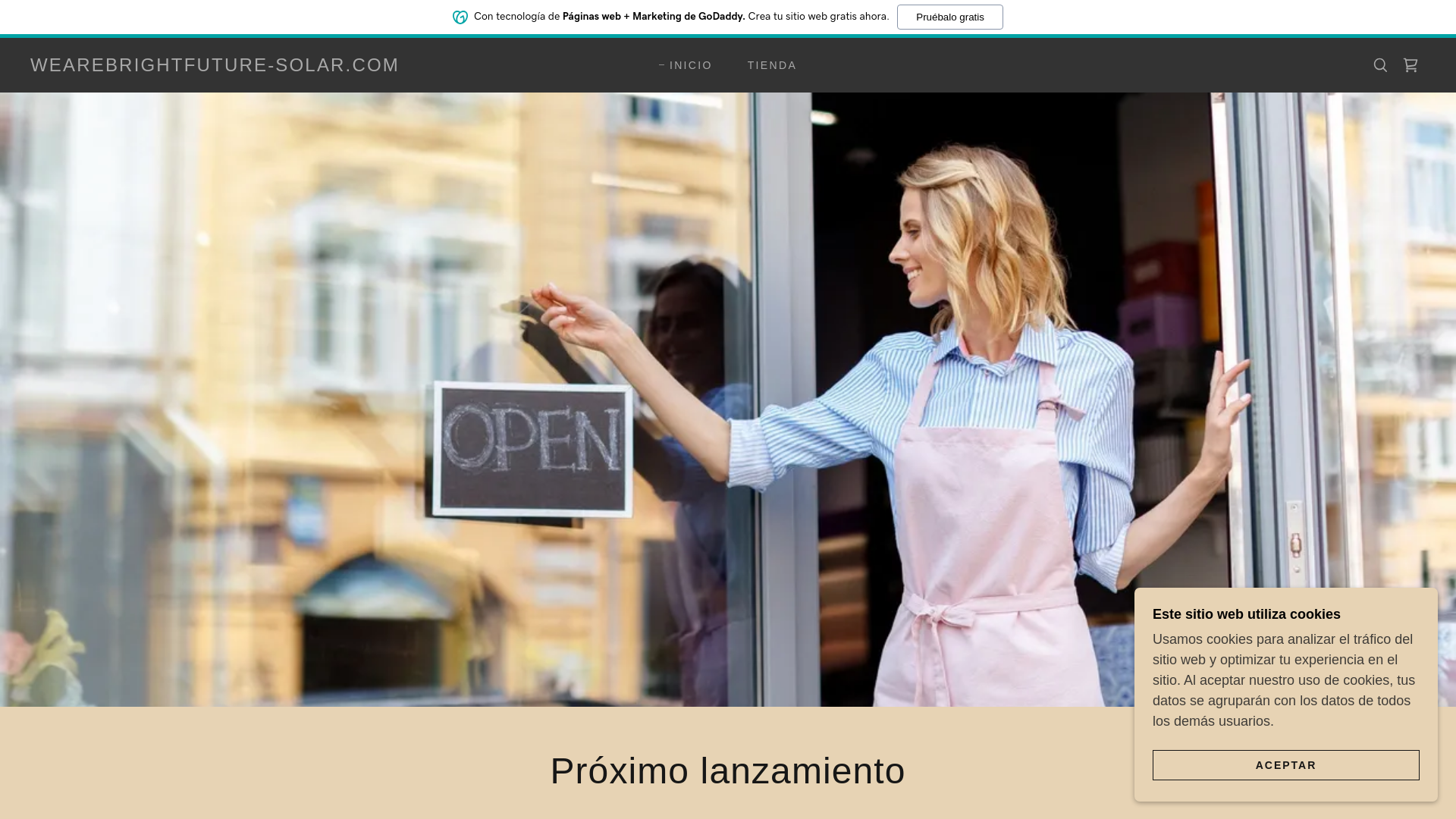 website screenshot of https://wearebrightfuture-solar.com/