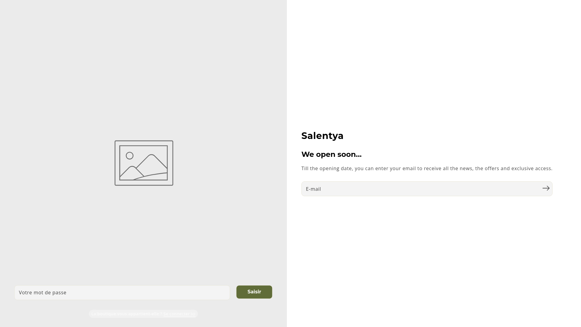 website screenshot of https://salentya.com/