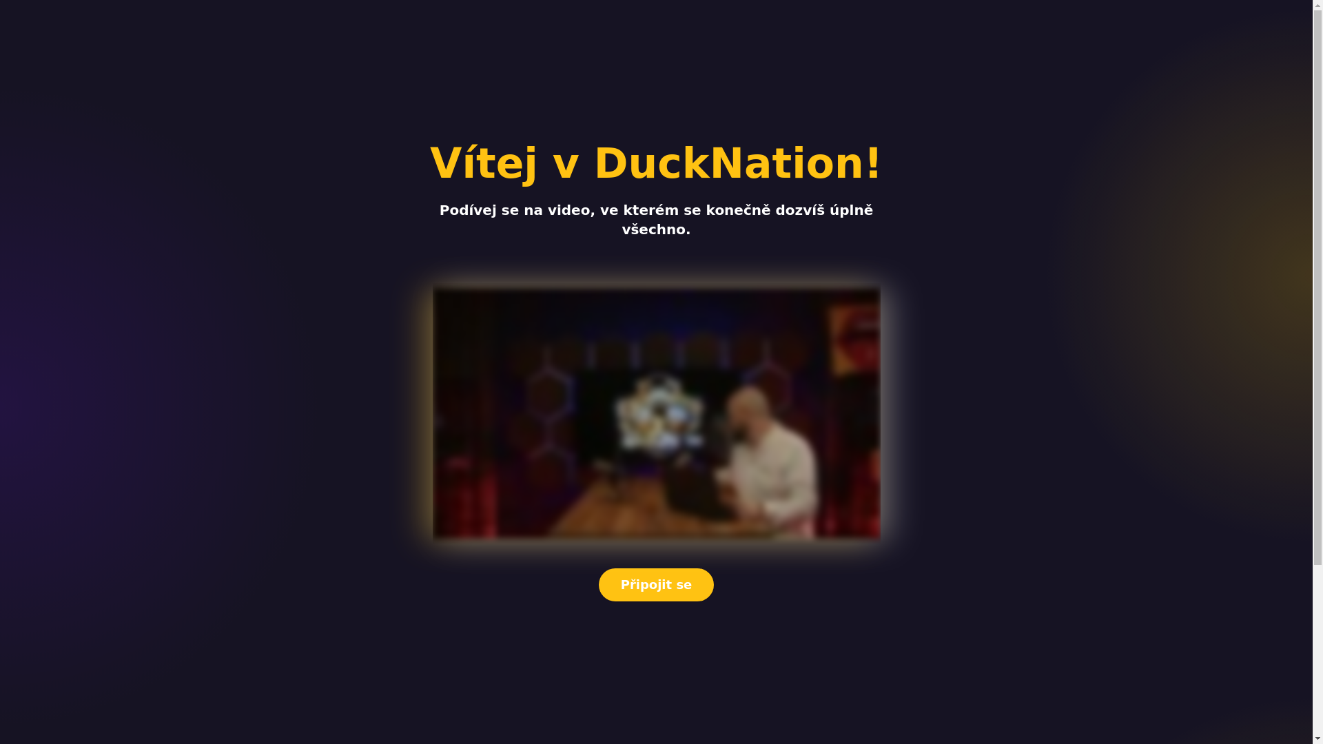 website screenshot of https://ducknation777.com/