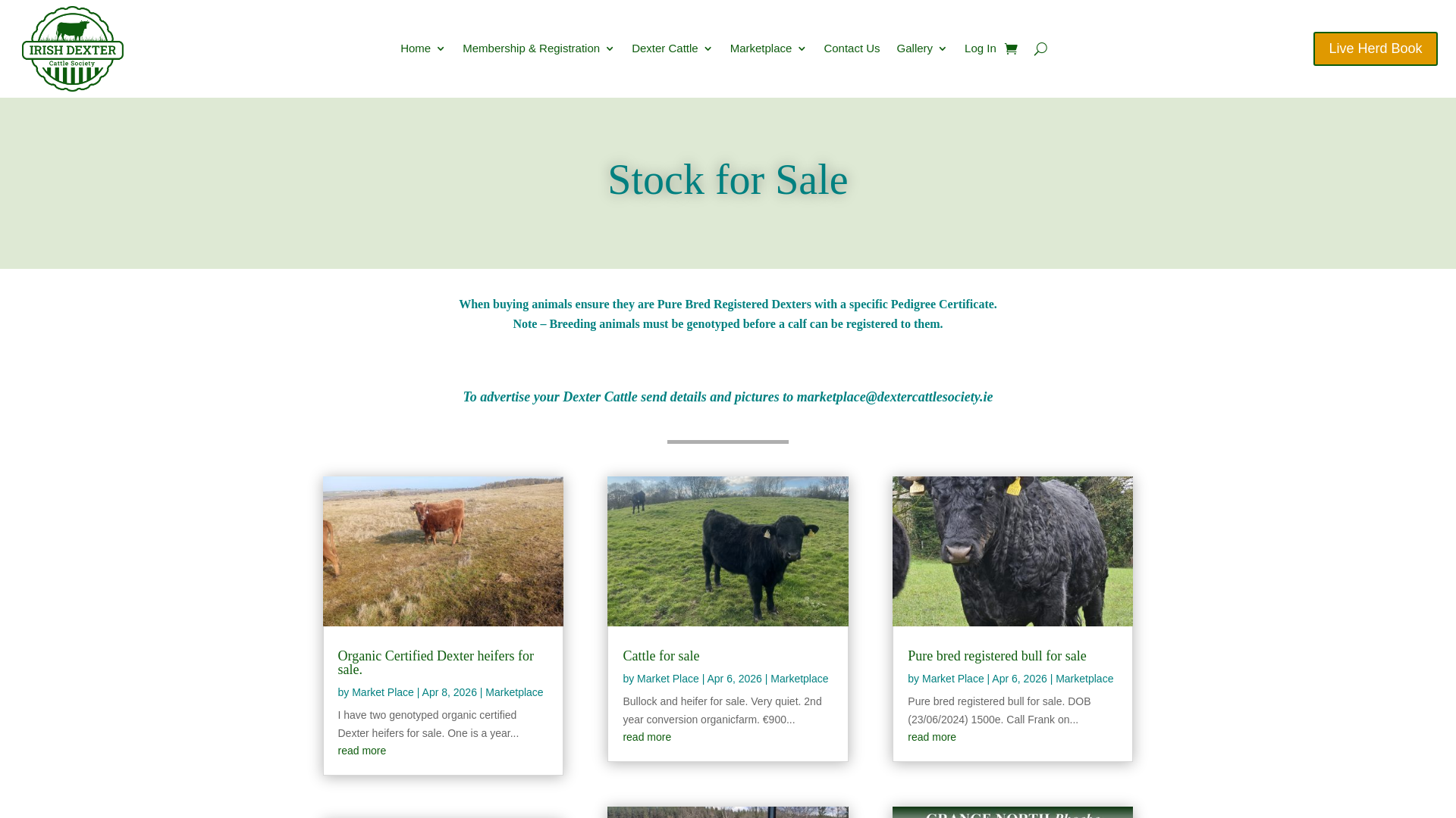 website screenshot of https://dextercattlesociety.ie/animals-for-sale/
