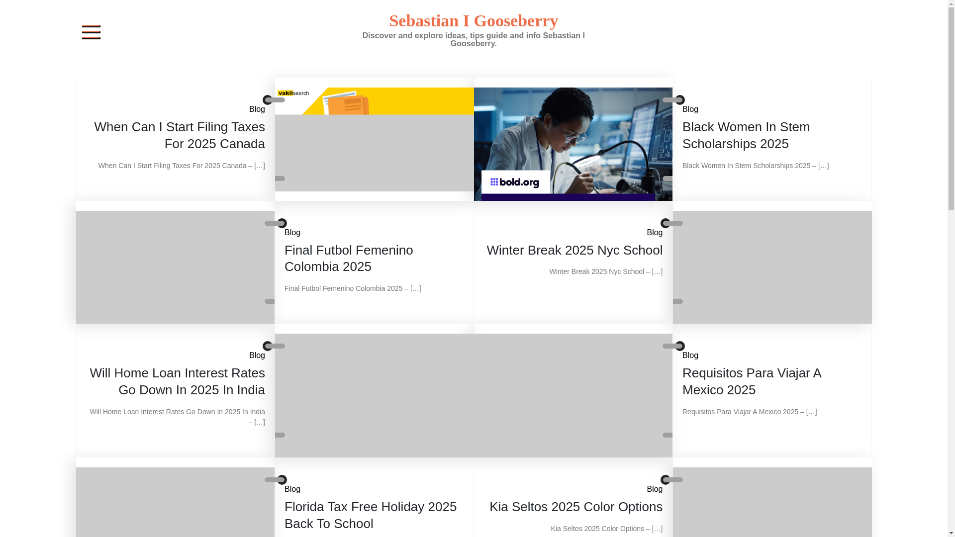 website screenshot of https://sebastianigooseberry.pages.dev/