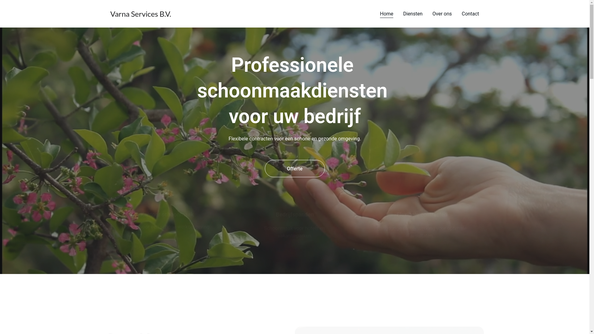 website screenshot of https://varnaservices.nl/