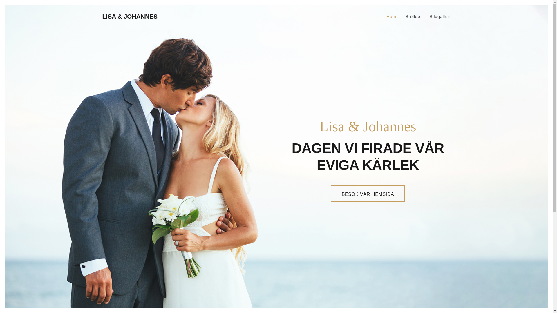 website screenshot of https://riddartjanst.se/