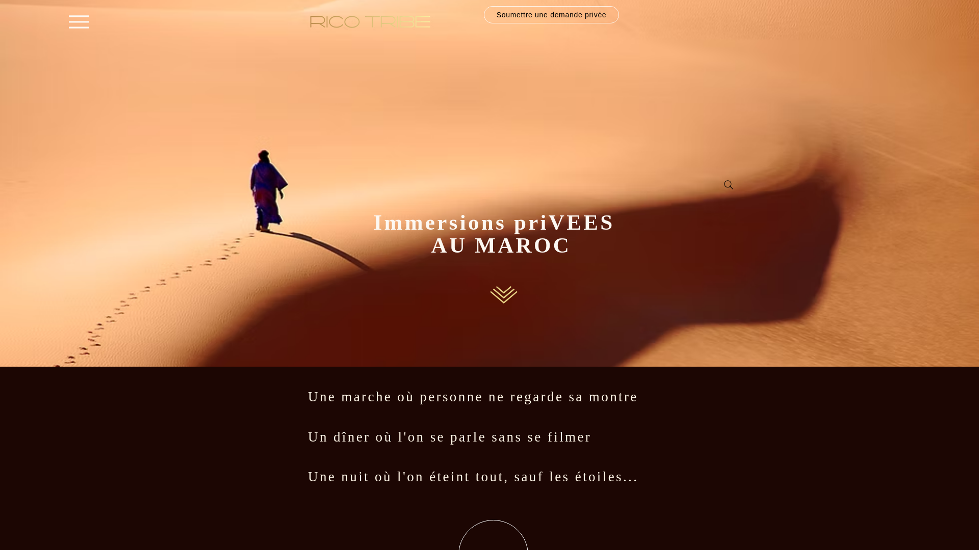 website screenshot of https://ricotribe.com/