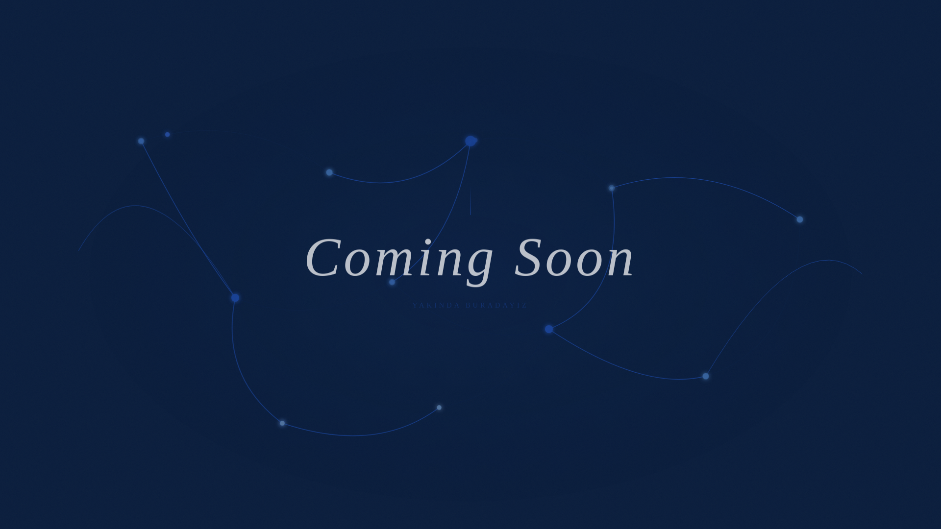 website screenshot of https://emelurozcelik.com/