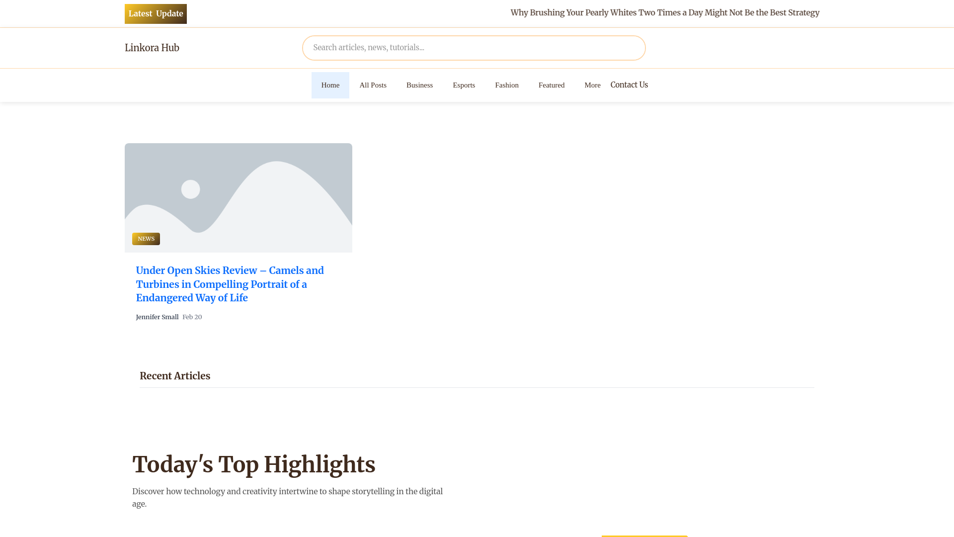 website screenshot of https://linkorahub.co.uk/