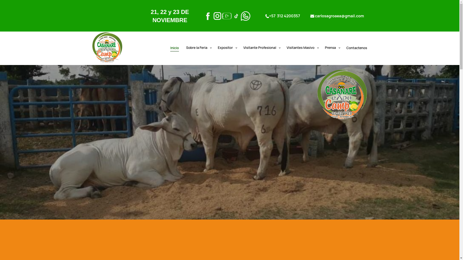 website screenshot of https://casanareexpocampo.com/