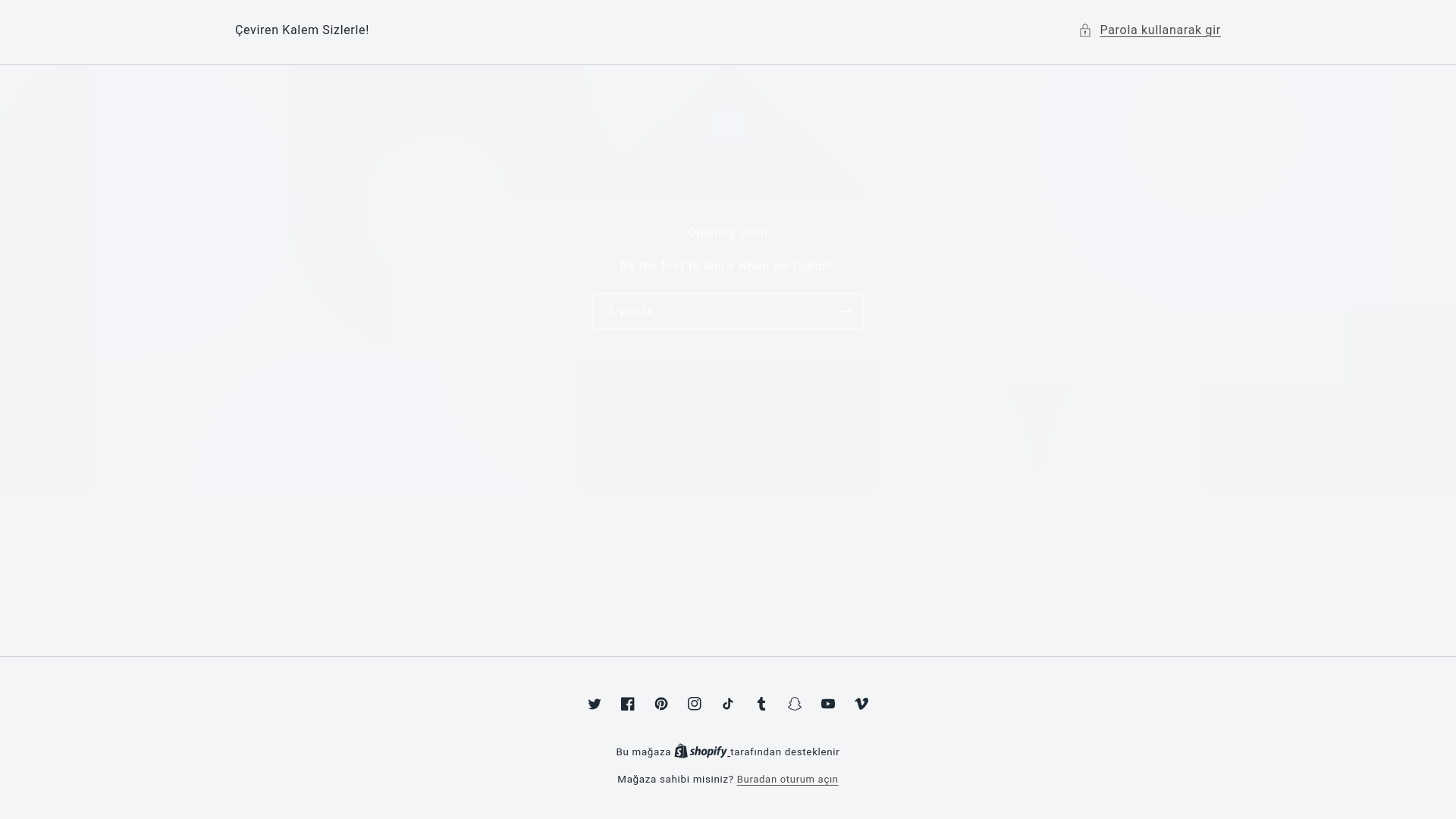 website screenshot of https://cevirenkalem.com.tr/