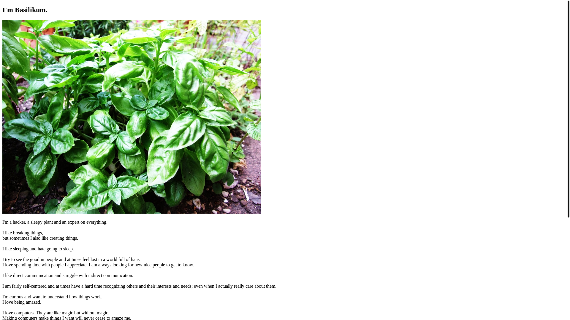 website screenshot of https://basilikum.monster/
