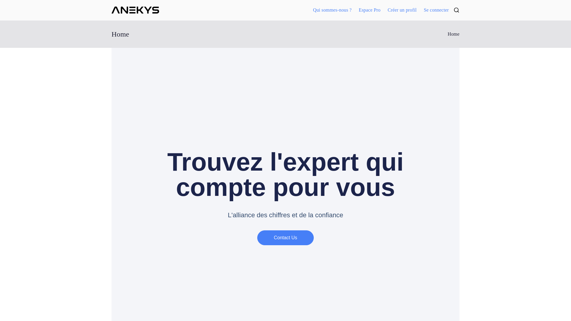 website screenshot of https://anekys.fr/