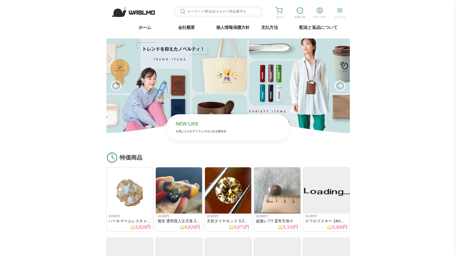 website screenshot of https://waslmo.jorumlea.click