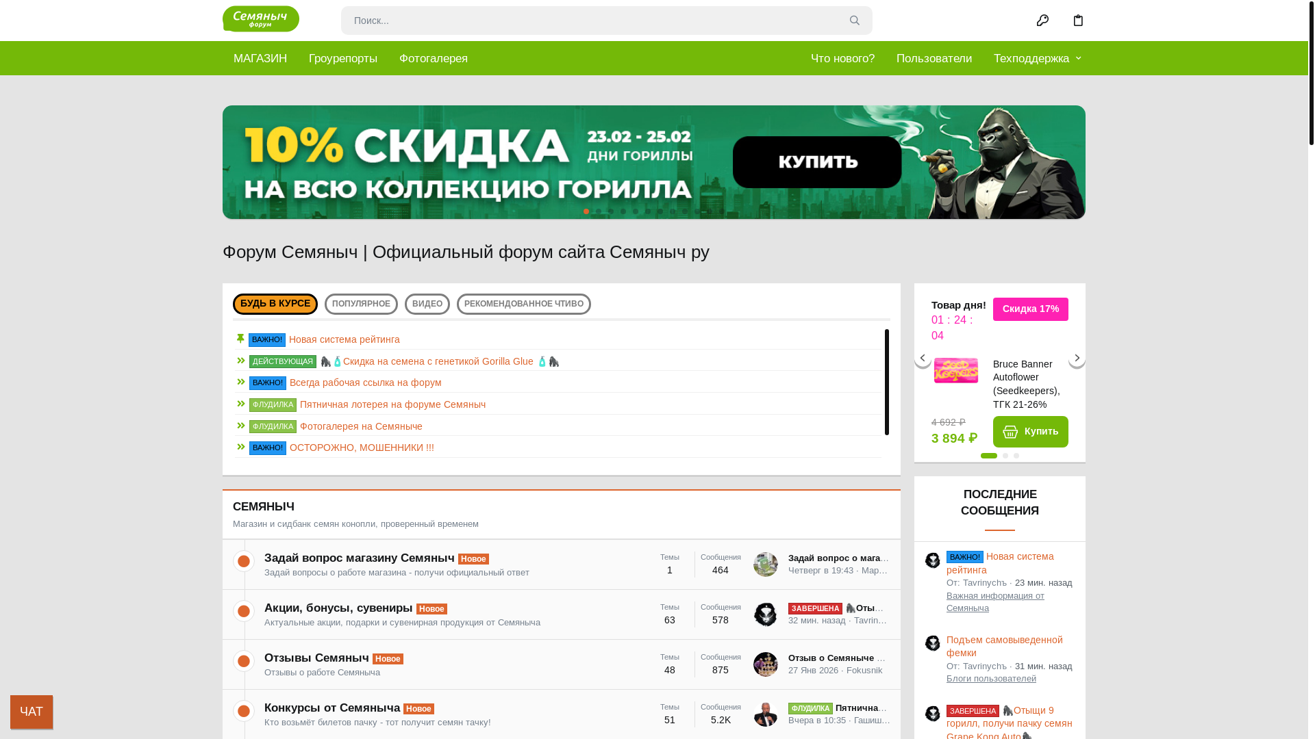 website screenshot of https://forum-semyanich-8.info/