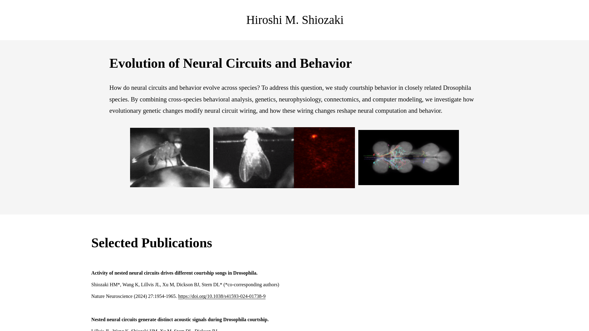 website screenshot of https://shiozakilab.com/