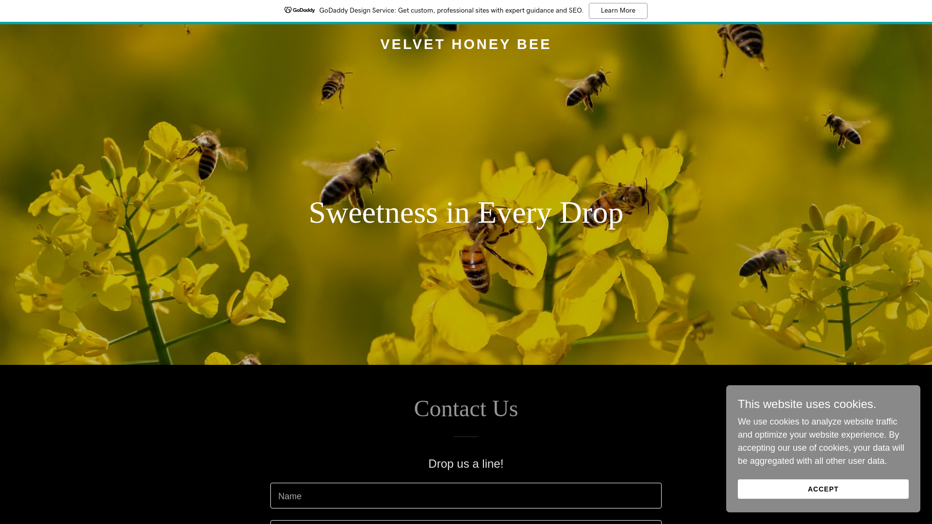 website screenshot of https://velvethoneybee.com