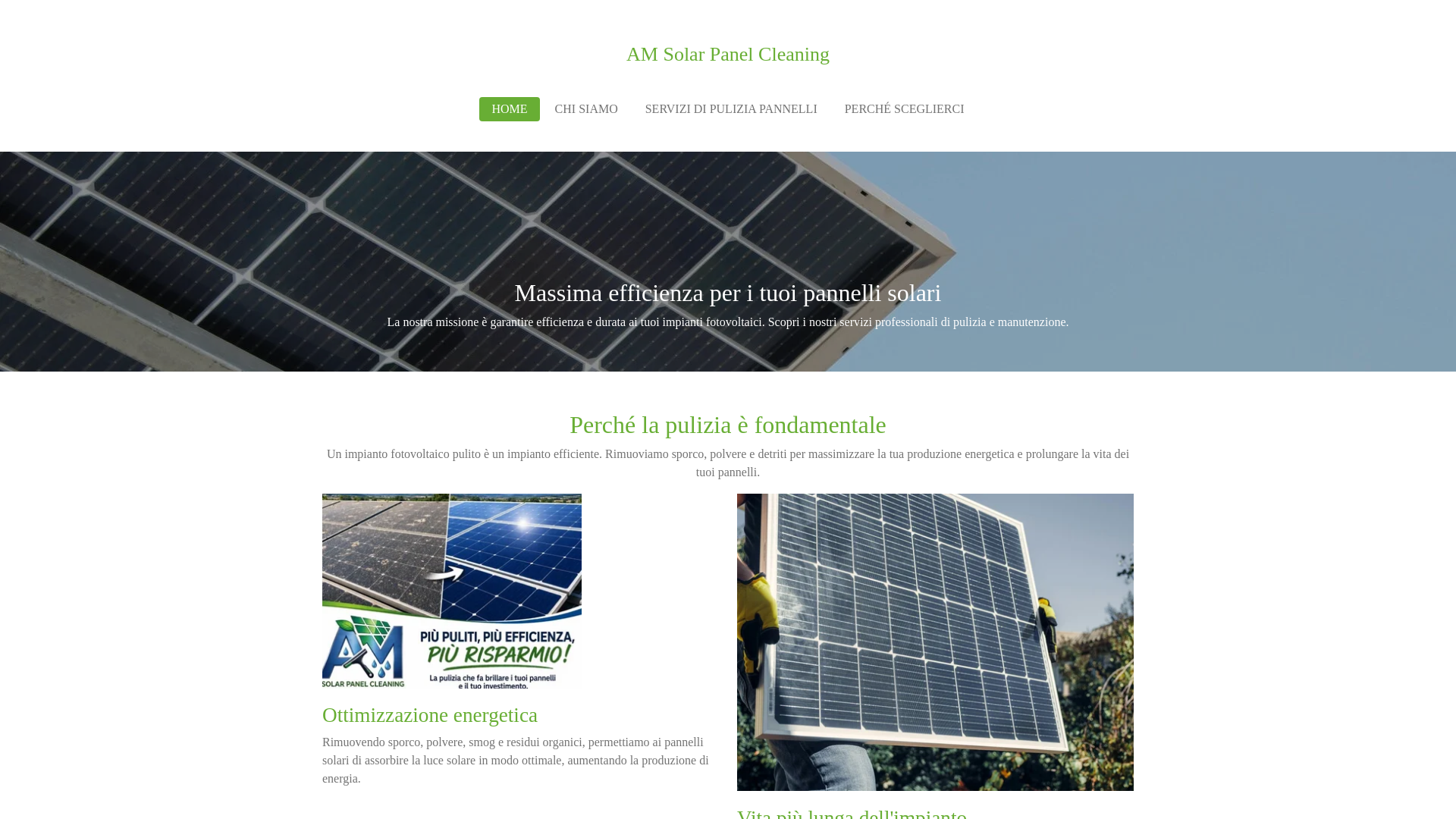 website screenshot of https://amsolarpanelcleaning.it/