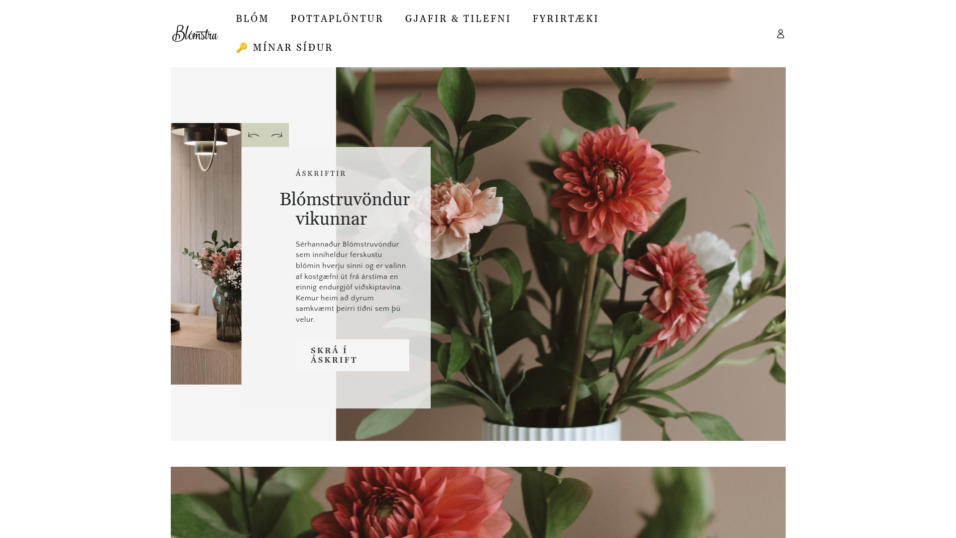 website screenshot of https://xn--blmstra-m0a.is