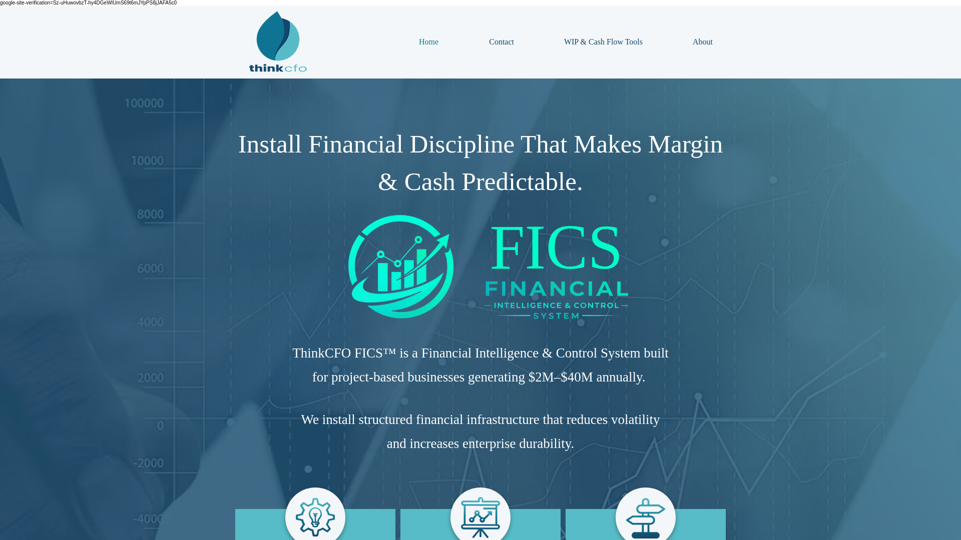 website screenshot of https://thinkcfoteam.com/