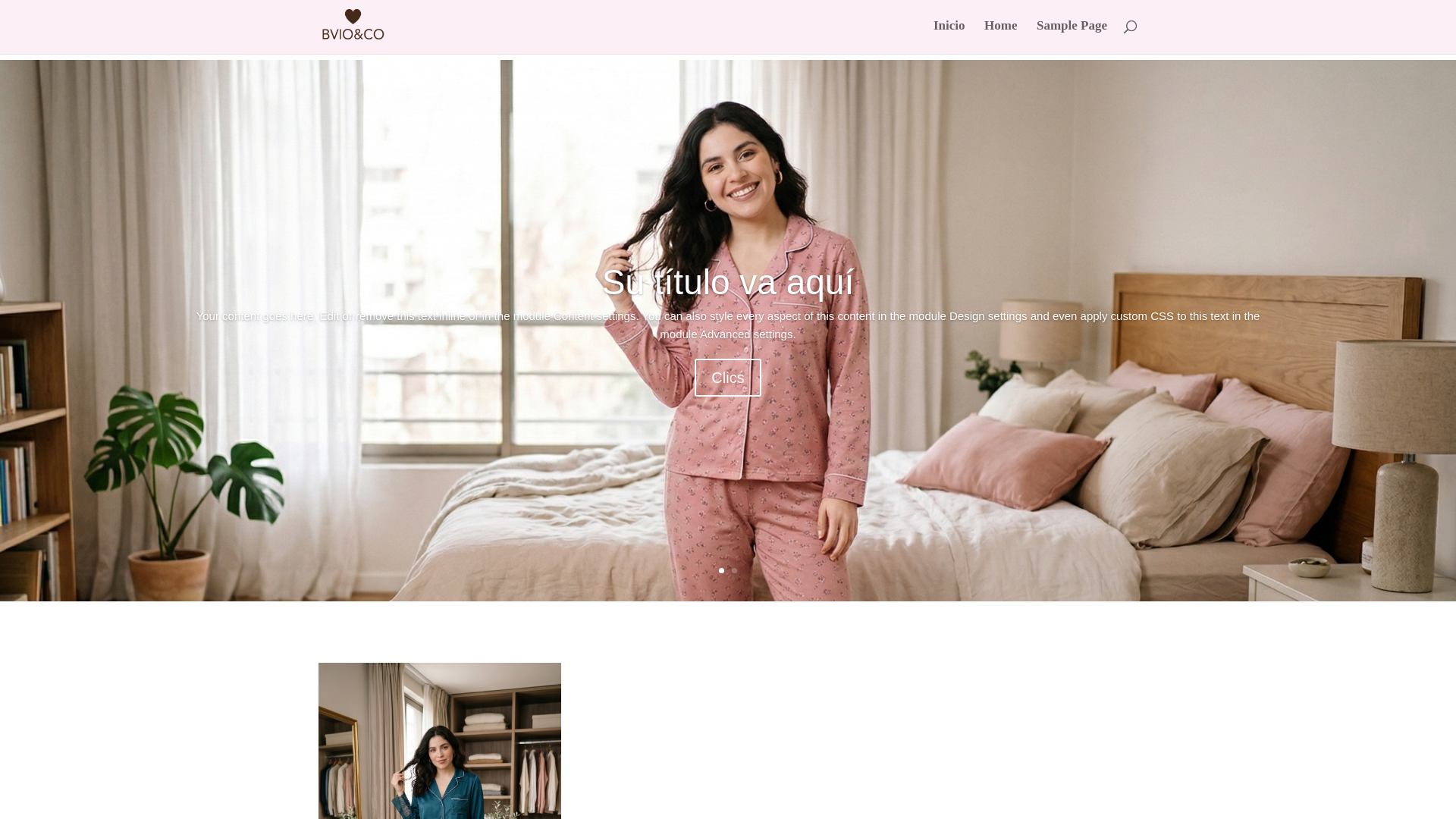 website screenshot of https://bvioandco.cl/
