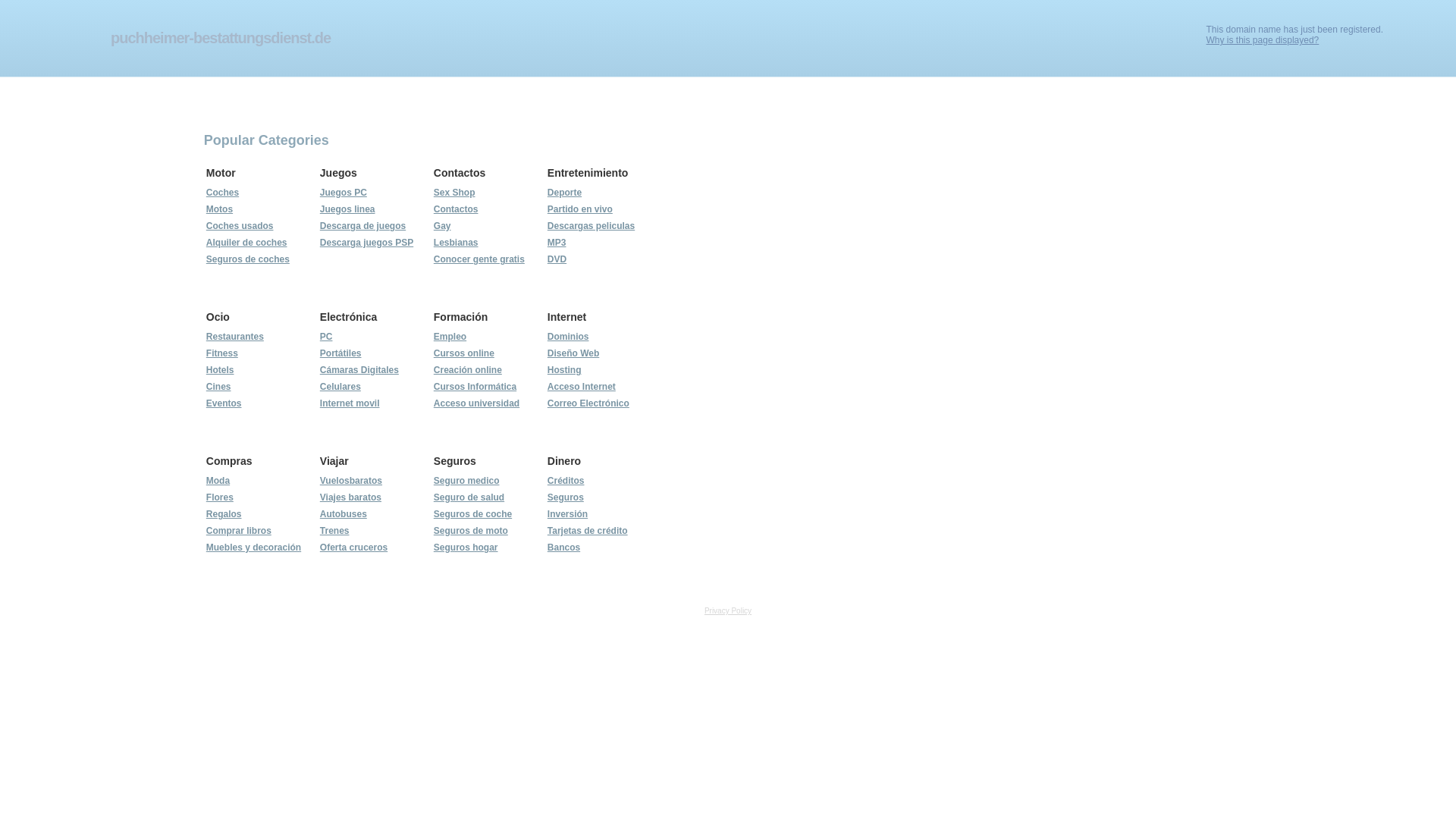 website screenshot of https://puchheimer-bestattungsdienst.de/